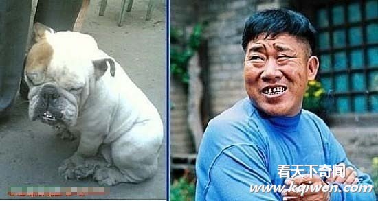 盘点明星与动物也尴尬撞脸 长得也忒像啦(组图)